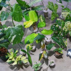 今週もヤフオク出品しました！！  ヤフオク落札日　2023/5/28 (日)