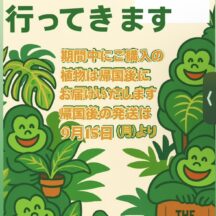 🌱【インドネシア出張のため発送休止のお知らせ】🌱